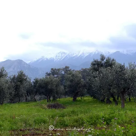 Апартаменты Lycurgus - The Spartan