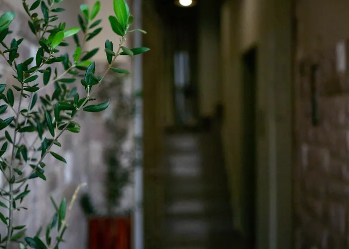 Lycurgus - The Spartan *