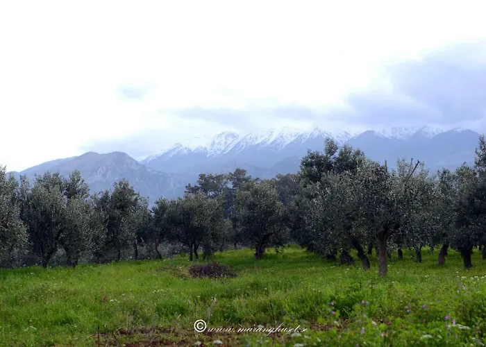 Apartment Lycurgus - The Spartan